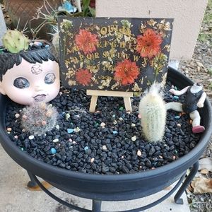 Meet your Posher, Apothecat Creations